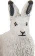 Safari Ltd. Arctic Hare Figurine - 2.5" Detailed Plastic Model Figure for Boys, Girls & Kids Ages 3+