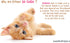 Glow in The Dark Cat Stickers with Dog and Fish, Wall Decals for Kids Bedding Room