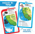 Imagimake Mapology USA Flash Cards | Learn United States Flags and State Shapes | Ages 8-12 | Educational Toy