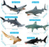 Flormoon Realistic Shark Figurines - 6pcs Undersea Creature Action Models, Educational Toy & Cake Topper for Kids