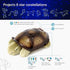 Cloud b Calming Nightlight Star Projector, Gentle Brightness, 3 Colors, 8 Constellations, Auto-Shutoff, Twilight Turtle