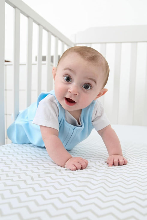 Set, 2 Pack, 100% 28 52 Elys & Co. Crib Sheets, Baby Boy/Girl Fitted Crib Mattress Sheet Jersey Knit Cotton, Infant