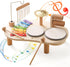 Promise Baby Musical Instruments, Wooden Percussion Instruments for Kids, Montessori Educational Toddler Toys