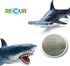 Gemini & Genius Great White Shark Hammerhead Shark Toy Set - 10 Inches Ocean Model Educational Figures