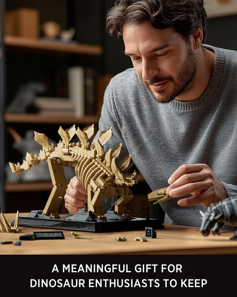 Set, Set (665 NF10353) Nifeliz Stegosaurus Fossils Model Dinosaur Skeleton Building with Display Base for Adults, Ideal