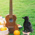 Realistic Crow Plush, Cute Black Raven Stuffed Animal, 9.44'' Soft Little Bird Toys for Kids Gifts