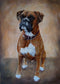 Jigsaw Puzzles 500 Pieces for Adults - Cute Boxer Dog Decorative Puppy Dog Portrait Wooden Puzzle DIY Wall Art Leisure