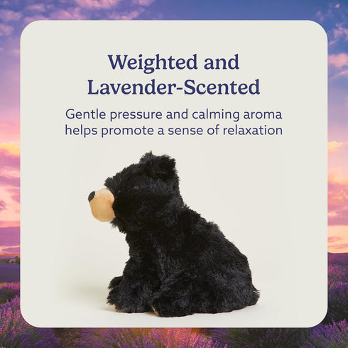 warmies Microwavable & Weighted Stuffed Animals, Black Bear - Heated Stuffed Animal Plushie for Warmth & Comfort - Cute