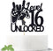 Level 16 Unlocked Game Birthday Cake Topper for Boy's 16th Birthday, Sweet 16 Video Game Theme Cake Decoration Supplies