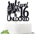 Level 16 Unlocked Game Birthday Cake Topper for Boy's 16th Birthday, Sweet 16 Video Game Theme Cake Decoration Supplies