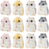 Litherr S 12 Pieces Cute Hamster Stuffed Animal Bulk Hamsters Plush Toy Small Stuffed