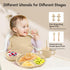 Set, set, Silicone Baby Feeding Baby Feeding Essentials, Baby Suction Bowl, Plates, Bib, Spoons Baby Led Weaning