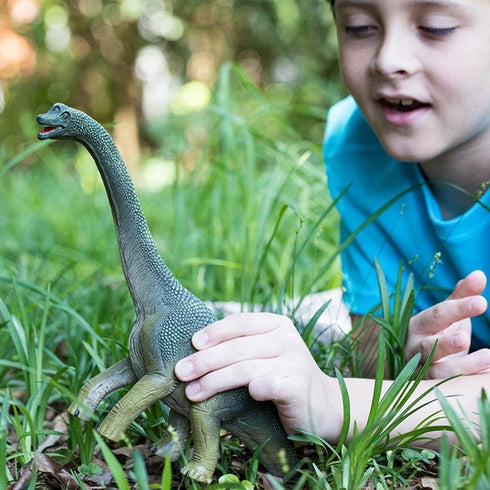 9.5" 4+ 14581 Schleich Dinosaurs - Brachiosaurus - Realistic, Durable Green Dinosaur Toy - Educational Fun Long Neck