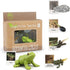 Montessori Frog Life Cycle with Flash Cards, Plastic Insects Tadpole to Frog Kit Toy, Realistic Animal Figurines