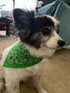 Maiwa 10 Pack Baby Triangle Bandana Bibs for Boys & Girls, for Drool, Teething & Eating