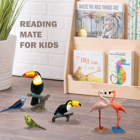 Gemini&Genius Bird Toys for Kids, 6Pcs Jungle Animal Bird Figures Gift Toys, Toucan, Parrot, Flamingo