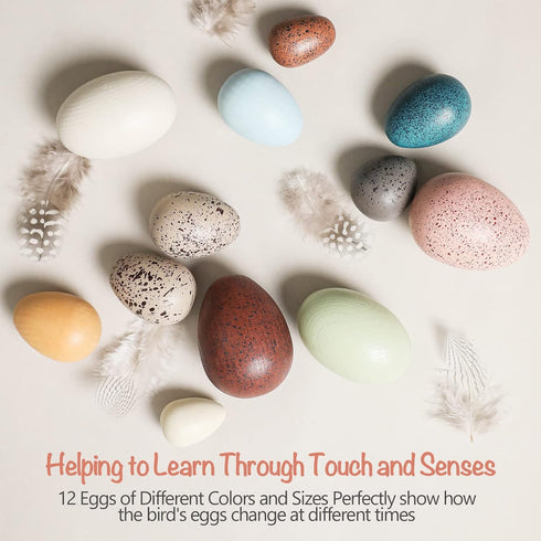 (12PCs) OESSUF Wooden Fake Eggs Easter Eggs Play Eggs for Toddlers Pretend Wood Egg Decor for Play Kitchen Artificial