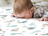Pack Set 2 Pack, Pack GRSSDER Stretchy Ultra Soft Jersey Knit Fitted n Play Sheets Portable/Mini Crib Sheets for Boys