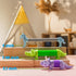 Boxgear 5-Pack Pop Tubes Mixed Animal Fidget Toys, Sensory Tubes for Toddlers, Stress-Relief Pop Sound Toys