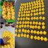 DZTIAN 51-Pieces Float & Squeak Mini Rubber Duck Baby Bath Ducky Sound ShowerToys for Kids Celebrate The Joy of The