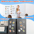 40 Animal Magnets for Kids, Refrigerator Fridge Magnets, Magnetic Animal Toys for Toddlers, Educational Toys for