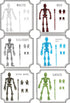 MIKILOWUHA T13 6 Pack, Glow in The Dark Skeleton Action Figures DIY Movable Joints Posable Bones, Unfinished Skull Kit