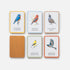 Backyard Birding Bingo: Clarkson Potter Sibley Game for Bird Lovers