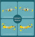 MAXBECK Su-35 2 2.4 Remote Control Wireless Airplane Toy with Lights, Rc Glider Channel GHZ Remote Control Planes