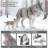 14PCS 3 4 5 6 7, Wolf Toy Animal Figurines, Realistic Plastic Zoo Safari Animal Toys for Toddlers Forest Wolf Animals