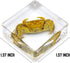 6 Set,Hermit PCS Marine Life Specimen Crab,Fiddler Crab,Starfish,Nassariidae,Sea Cucumber, Chiromantes Dehaani Resin