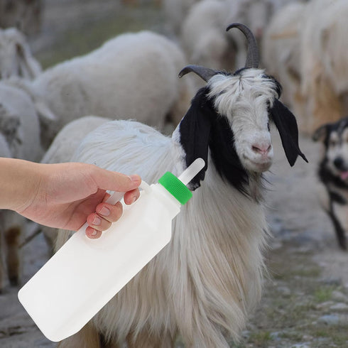 1 Set Lamb Feeding Bottle, Goat Feeding Tools, Pig Feeding Bottle, White Piglet