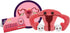 GIANTmicrobes Uterus Plush Toy, Hysterectomy Gifts, Endometriosis Awareness, Get Well Gift