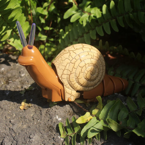 Realistic Remote Control Snail Toy - Electronic Crawling Insect for Kids