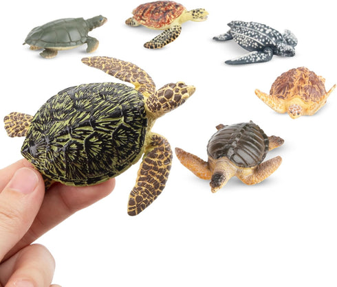 Toymany 6PCS Realistic Sea Turtle Figurines, Plastic Ocean Sea Animals Figures Set for Kids Birthday Gift
