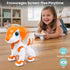 3-8, 4 5 6 7 IQKidz Remote Control Robot Toys Dog for Kids Age RC Smart Walking Electronic Pet Dog Toy with Light Eyes