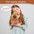12inch Cute Capybara Plush with Turtle Backpack - Soft Capybara Stuffed Animal Toy Doll Pillow for Kids