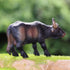 Gemini&Genius Cow Toy for Kids, Realistic Buffalo Safari Animal Figure for Nature Learning