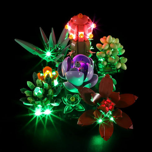 Lightailing Light for Lego-10309 Succulents, LED Lighting Kit Compatible with Lego Building Blocks Model - NOT Included