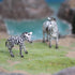 Gemini&Genius Zebras Toys for Kids - Wild Life Animal Toy Figurines African Jungle Animal Playset Gift