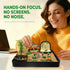 HouseBegan Vegetable Zen Garden for Desk, Build Your Own Mini Vegetable World, Desktop Sand Garden Kit, Interactive