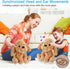 8 3 4 5 6 (10.2' Interactive Singing Plush Toy - Dog Stuffed Animals Record & Repeats What You Say, Songs, Head & Ear