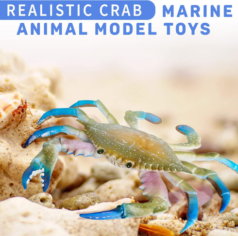 2Pcs Crab Toys for Babies, Realistic Ocean Animal Educational Model, Bath Toy for Kids