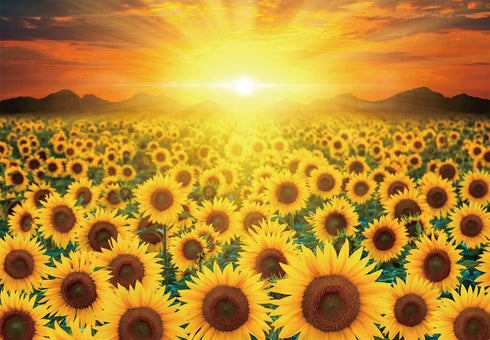 1000 Piece Premium Jigsaw Puzzle - Golden Sunflower A-1158