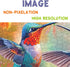Bird Hummingbird Flower 1000 Piece Puzzles for Adults, Colorful Spring Plant Floral Jigsaw