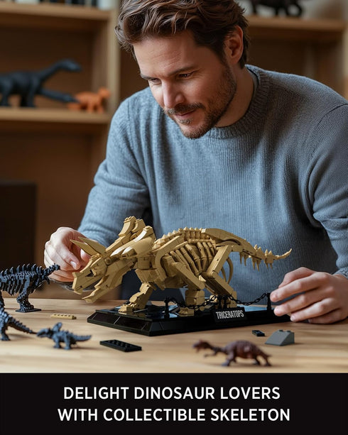 Set, Set (798 NF10351) Nifeliz Triceratops Fossil Model Dinosaur Skeleton Building for Adults and Collectors, Ideal