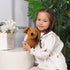 Apricot Lamb Toys 14 Inch Coffee Dachshund Dog Stuffed Animal, Soft Cuddly Toy for Child