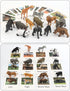 Realistic Animal Figurines Toys, Small Montessori Animal Figures with Flash Cards, Montessori Materials for Toddler