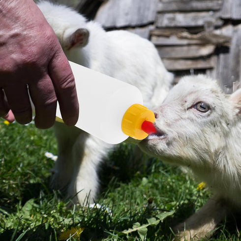 DOITOOL Goat and Bottles Set, 5PCS Small Animal Milk Drink and 400 ml Lamb Feeding Bottle Kit for Feeding Sheep Goat Lamb Puppy by DOITOOL