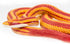 Safari Ltd. Corn Snake Figurine, Lifelike 5.25" Model Figure, Educational Toy for Kids Ages 3+