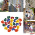 Yaegoo Climbing Holds for Kids and Adults, 25 PCS Rock Climbing Holds with Mounting Hardware for DIY Wall